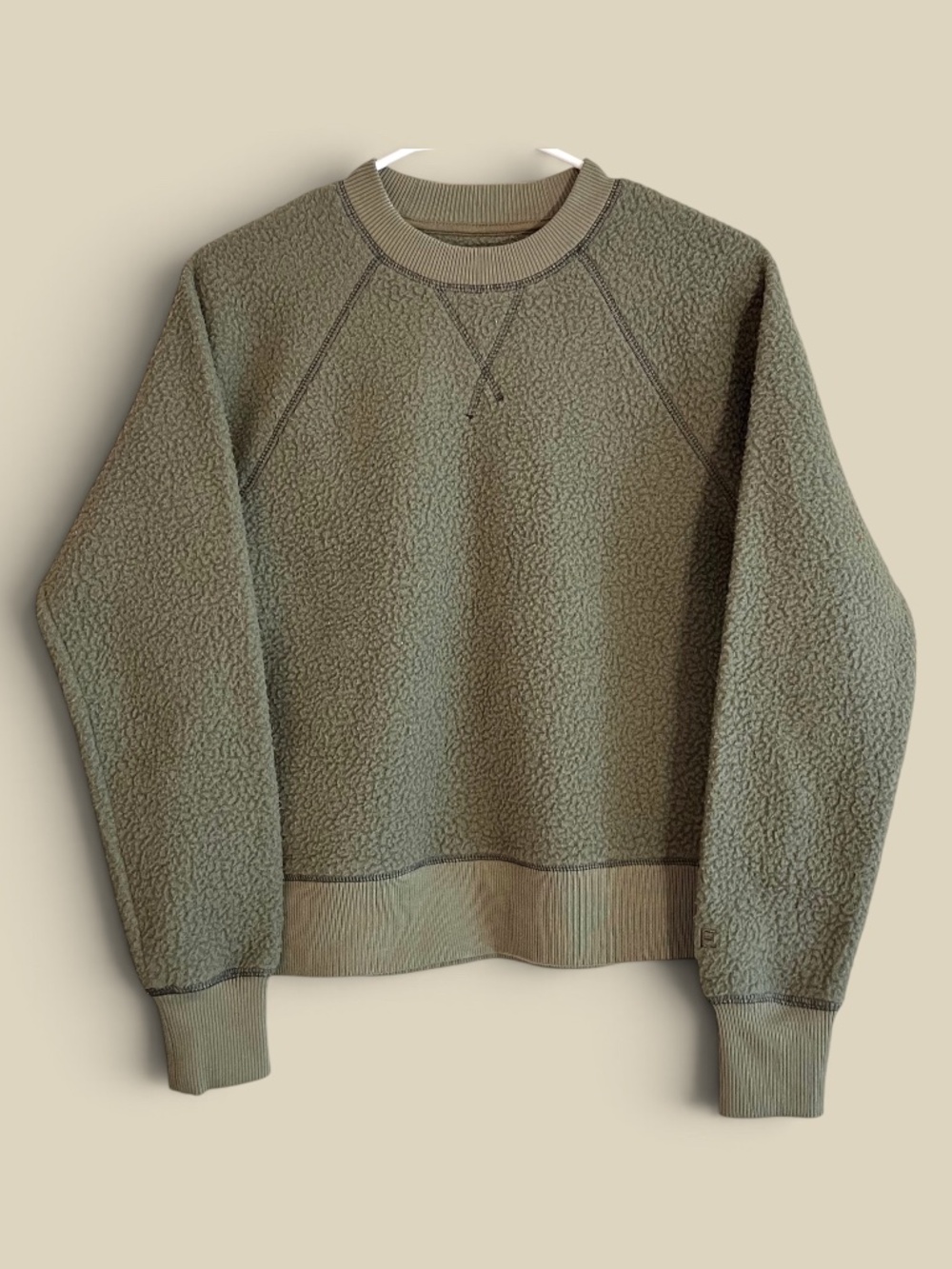 Everlane ReNew Teddy Raglan Fleece Crewneck Sweatshirt Sage Size XS